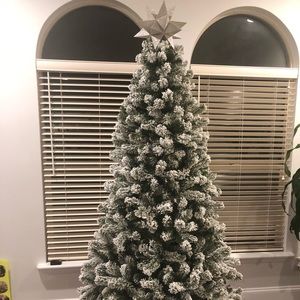 Meet your Posher, Jacqueline